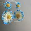 Brincos Azuis Estilo Resort de Férias na Praia com Girassóis para Mulheres Verão Coloridos Brincos de Ráfia Acessórios para Fotos