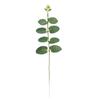 Hoja de Eucalipto Individual Simulada Flores Artificiales Accesorios Guirnalda DIY Ramillete Flores de Mano Accesorios Florales Plantas Verdes Props Flor