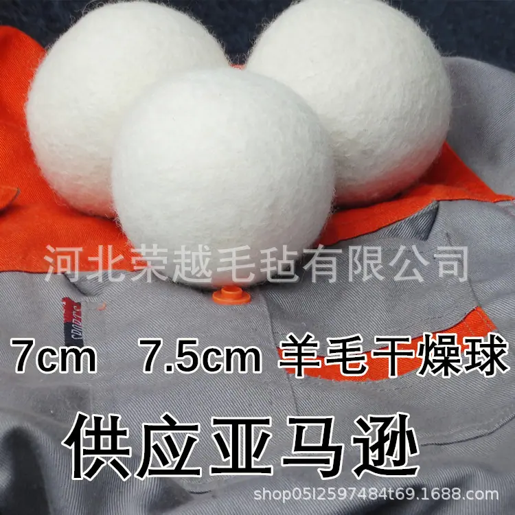 DSC06843_副本_副本