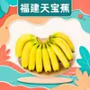 Entrega Mayorista de Plátanos Fujian Tianbao 3/5/ 4.5 kg Grado Uno Fruta Grande Dulce y Suave Caja Completa Caja de Regalo Fruta Fresca