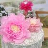 Flores de Papel de Amazon Usos Escena Estilo Cantonés Boda Arte en Papel Flor Tipo Crisantemo Flor de Peonía Artificial Flor de Papel Grande de 50 cm