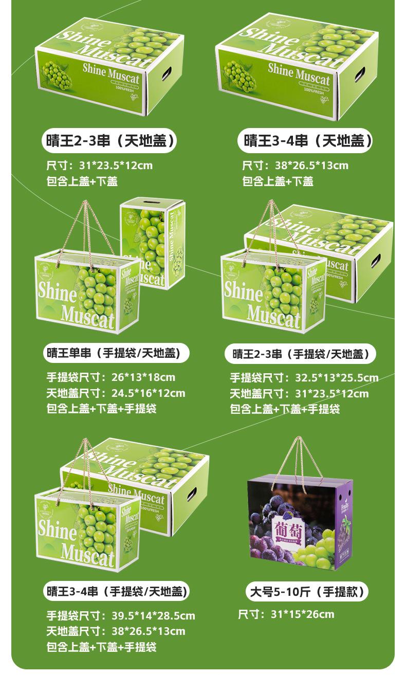 晴王葡萄_09.jpg