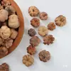 Calabaza Naranja Pequeña, Fruto de Planta de Calabaza Pequeña, Accesorios Hechos a Mano para Manualidades, Materiales de Decoración con Flores Secas, Estilo Bosque Vintage