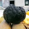 Fabricante Original Venta al por Mayor Gran Cantidad de Semillas de Verduras de Cuatro Estaciones Semillas de Frutas para Macetas de Balcón Lista Completa de Semillas de Colza