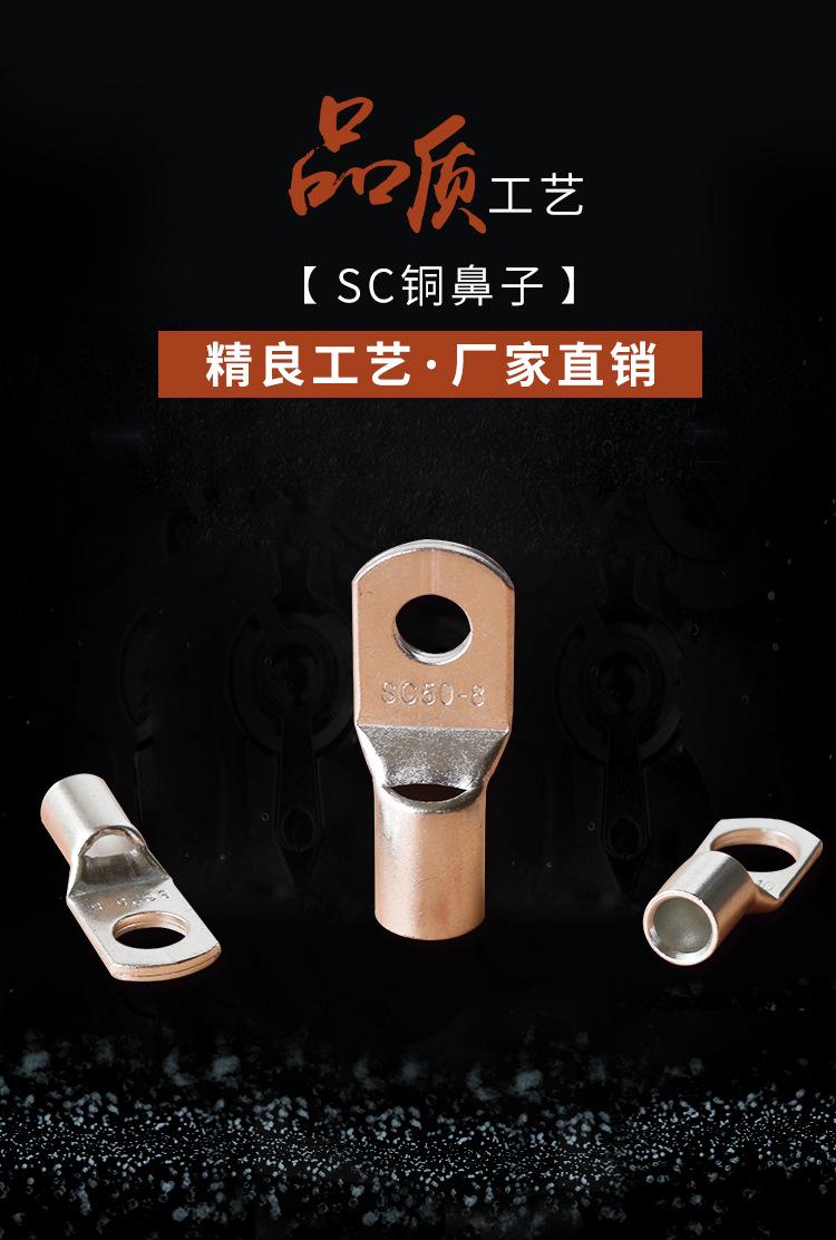 SC铜鼻子1_01.jpg