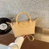 Bolso cruzado diagonal 2026 nuevo tejido versátil casual diseño para mujer bolso de mano de moda bola de masa un solo hombro sensación