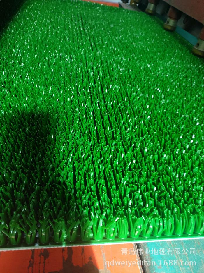 IMG20230220111559.jpg