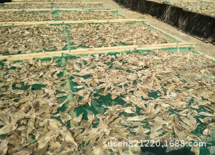 中号19.jpg