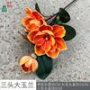 Três grandes magnólias EVA orquídea de mão comércio exterior transfronteiriço atacado flor artificial tema atividade cena layout flor de seda