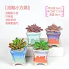 Maceta para pulgar suculenta mini mini maceta para pulgar maceta de cerámica para flores suculentas planta creativa flor pequeña Ma Long mesa Mai Tai Bao