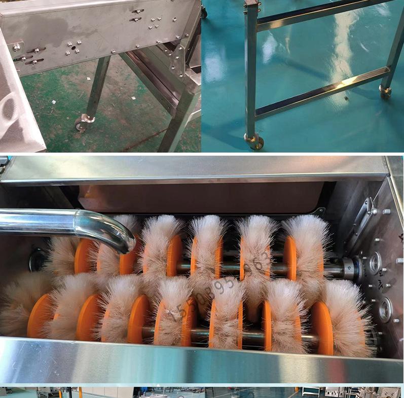 小型洗蛋机详情_04