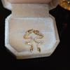Pendientes de Zirconia con Forma de Dragón del Zodiaco Estilo Chino de Lujo Ligero, Electrochapado en Oro Real, Pendientes de Estilo Nicho de Gama Alta para Mujer
