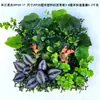 Fondo de Decoración de Pared de Planta Verde Simulada, Césped Artificial de Plástico Milán de Eucalipto