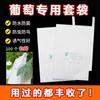 Bolsa para Ensacar Uvas Ensacar Bolsa de Papel Fruta Impermeable A Prueba de Lluvia A Prueba de Insectos Protección Niebla de Loto Transpirable Translúcida Una Pieza