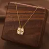 Comercio Exterior de Amazon Venta Caliente Collar de Acero de Titanio Temperamento Femenino Circonita Microincrustada Personalidad Cadena para Clavícula de Alto Sentido Colección Joyería