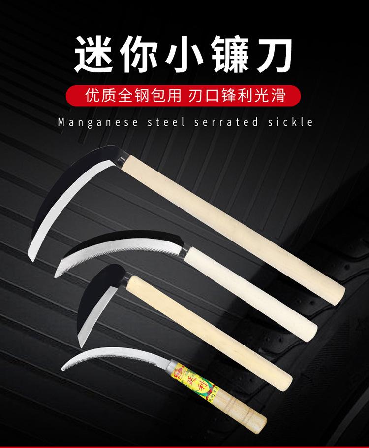 详情_01.jpg