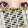 Pestañas Postizas de Conejito Barbie sin Pegamento, Ultra Voluminosas, Naturales y Lindas, Estilo Dulce y Atractivo, Racimo Individual, Fotogénicas, Dinámicas, Largas y Transparentes
