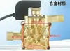 220V Gato Negro de Shanghái Máquina de Limpieza Doméstica y Comercial Máquina de Lavado de Autos Ensamblaje de Cabezal de Bomba de Alta Presión Cabezal de Bomba Dorado Otros
