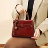 Bolso Cuadrado Pequeño Estilo Nuevo Jiangnan de Nanfeng para Mujer, Estilo Nacional, Bolso de Mano Exquisito Versátil, Bolso de Hombro Único Transversal Moderno para Viajar