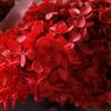 Flor Seca hortensia de madera 100g flor eterna material de hortensia ramo diy hotel hogar boda decoración fotografía