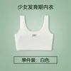 Ropa interior para el período de desarrollo de estudiantes de primaria, Anti-golpes, Camiseta sin costuras, Sujetador de verano fino de seda helada para niñas