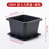 Maceta Cuadrada Engrosada Transpirable para Sedum Maceta para Flores Suculentas Plástico Pequeña Negra Cuadrada Maceta para Plántulas Flor Planta Verde Control de Raíces Anti-Pudrición de Raíz