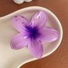 Presilhas de Cabelo Coloridas de Frangipani Europeias e Americanas Transfronteiriças, Presilhas de Garra de Alto Padrão e Exquisite, Acessórios de Cabelo de Pétalas de Flor, Presilhas Tubarão de Flor de Bauhinia