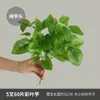 Decoración de Tienda de Moda en Centro Comercial con Plantas Verdes Artificiales, Paisaje de Urbanización con Plantas Acuáticas Artificiales y Flores Falsas y Hojas Verdes