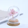 Cascalho de cristal de ágata natural, Tampa de pó Árvore da Vida, pedra de cristal, espécime de árvore da sorte, peça de exibição para decoração de casa