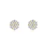 Pendientes Exquisitos de Flor Europeos y Americanos Transfronterizos para Mujer, Modernos y Sencillos de Circonita Estilo Coreano Tendencia Pendientes de Oficina