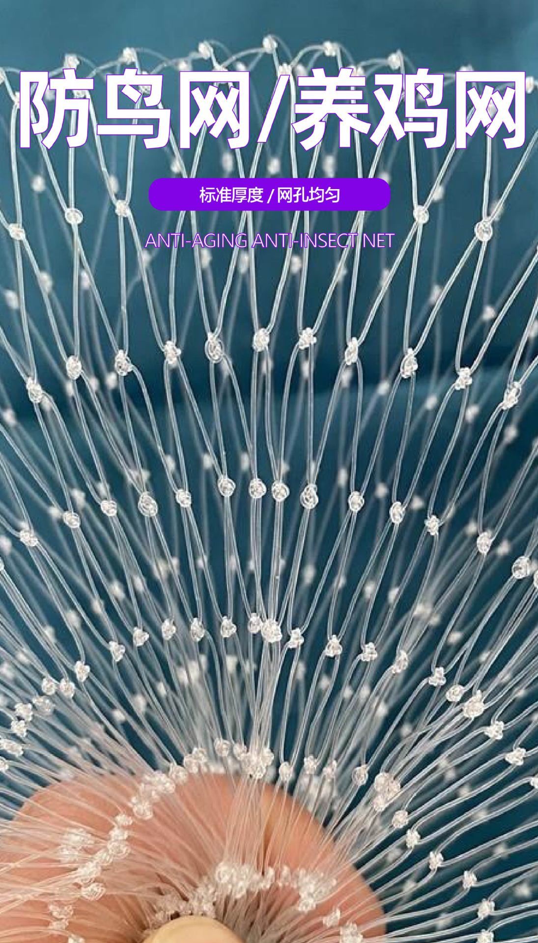 防鸟网-08.jpg
