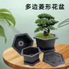 Jardinería Maceta de Arena Púrpura Imitación Plástico Ovalado Resina Bonsái Maceta China Retro Maceta para Suculentas Planta en Maceta Grande