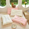 2026 Nuevo Modelo Pequeño Dorado Seda 3D Almohada para Cuello Núcleo de Almohada