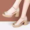 Aomanlin Nuevo Cheongsam Chino Zapatos de Pasarela Estilo Nacional Retro Plataforma de Fondo Grueso Tacón Alto Sandalias de Tacón Grueso con Hebilla para Mujer