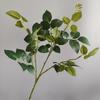 Hoja de rosa, planta verde, material de hoja, estilo nórdico, modelo de casa, habitación, ventana, conjunto de boda, decoración, fotografía, accesorios en vivo