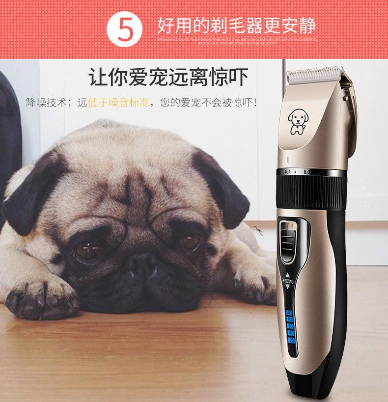 12343304965_1445109651