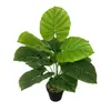 Planta Verde Artificial de Amazon con Efecto de Goteo, Planta de Alta Calidad Estilo Ins, Envío Transfronterizo, Hojas Decorativas de Paisajismo Sencillo