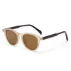 Gafas de sol poligonales coreanas personalizadas para hombre con patillas de placa, Gafas de sol polarizadas retro de moda para mujer, Tendencia de celebridad de internet 8609
