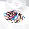 Cuello Femenino Profesional Azafata de Banco Hotel Mono de Doble Capa con Lazo Ropa de Trabajo Camisa Accesorios Corbata de Lazo