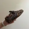 Zapatos de Felpa con Forro de Argán Estilo Coreano para Niños 2026 Invierno Nuevos Zapatos de Entrenamiento Alemanes para Niñas Moda para Niños Versátiles Zapatos de Tabla con Estampado de Leopardo