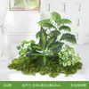 Paisagismo com Combinação de Plantas Verdes, Plantas Artificiais, Musgo Sintético, Decoração de Micro-Paisagem para Cantos Internos, Plantas em Vasos Pequenos