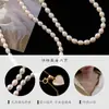 2025 Nuevo Popular Collar de Gama Alta Lujo Ligero Perla de Corazón de Agua Dulce Perla de Semilla de Mijo Collar Versátil Cadena para Suéter