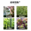 Bridas de Nylon Desprendibles, Retráctiles y Desmontables, Correas de Plástico de Colores para Atar en Jardinería, Clips Reutilizables