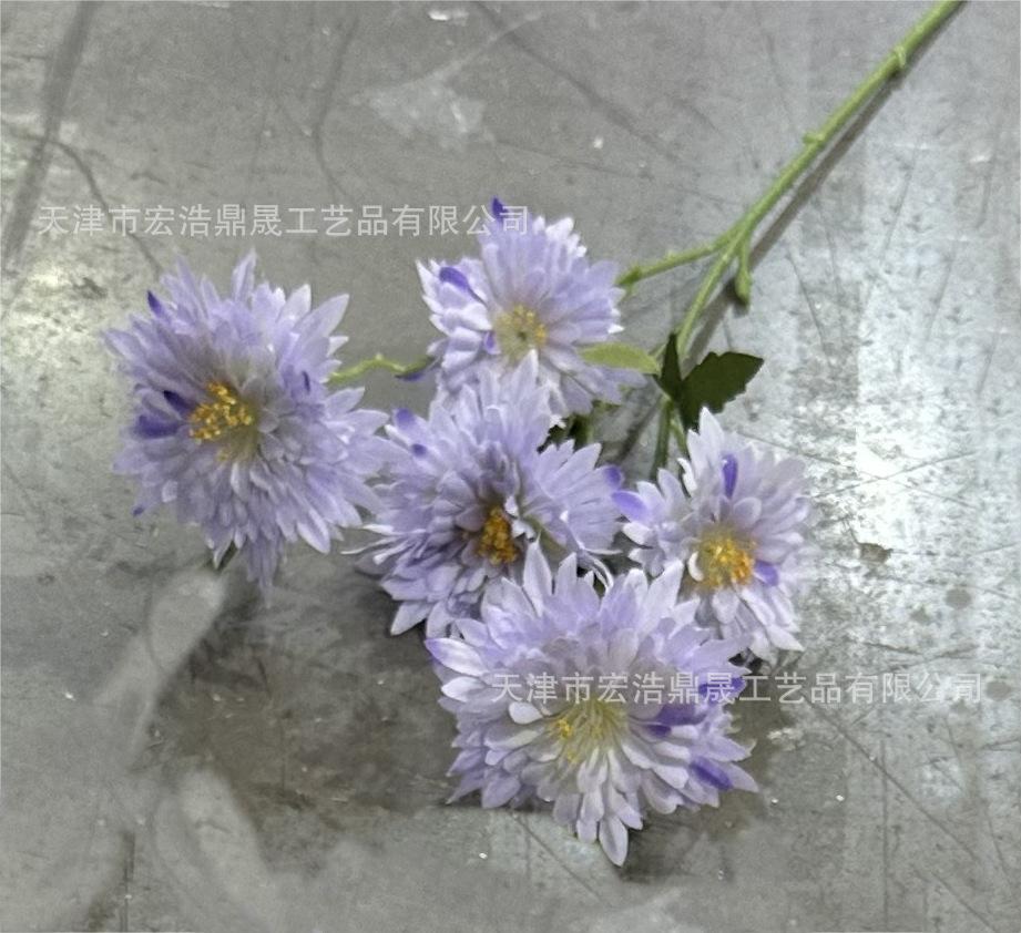 微信图片_20230723132443(8)