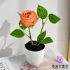 2026 Nuevo Florero Redondo de Una Cabeza Rosa Pequeño Bonsái Flor de Seda Flor Artificial Decoración para Sala de Estar Dormitorio Adorno Juego de Mesa de Comedor