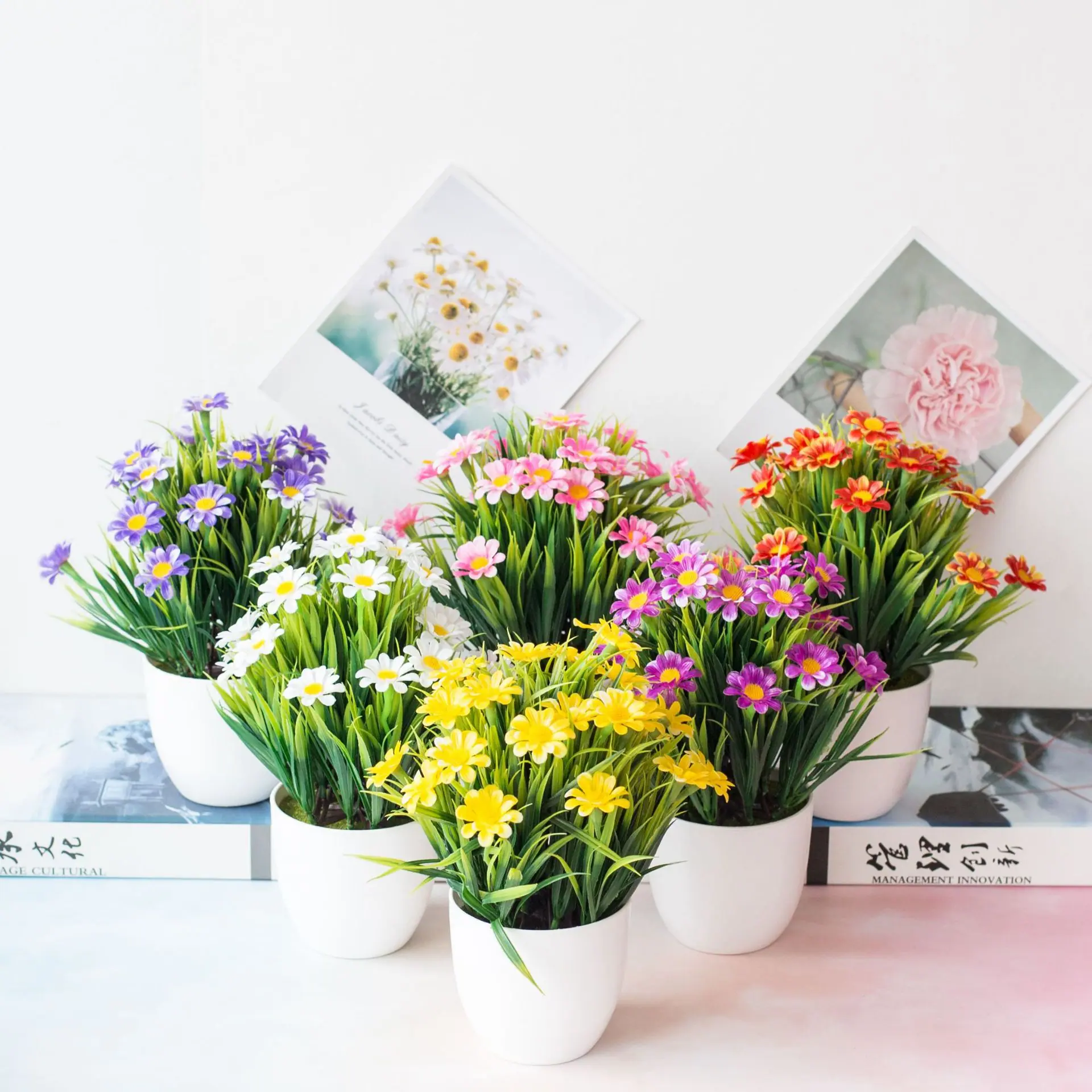 春草菊花