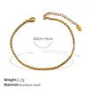Tobillera Minimalista Transfronteriza Estilo Europeo y Americano Cadena Hueso de Serpiente, Acero Inoxidable Chapado en Oro de 18K, Cadena de Tobillo Doble Capa Apilable