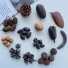 Pacote de Materiais DIY Feito à Mão Flores Misturadas Plantas Flores Secas Decoração Ambiental Floresta Jardim de Infância Pinhas