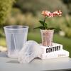 Fabricante de Macetas de Plástico al por Mayor Maceta Transparente para Orquídeas Estilo Alto Maceta para Orquídea Mariposa Fuente Transfronteriza Maceta Simple para Flores