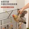 Gallinero para Uso Doméstico, Modelo Exterior Extra Grande, Antivecinos, Malla Densa, Impermeable, Gallinero Rústico con Limpieza Automática de Estiércol, Jaula de Cría